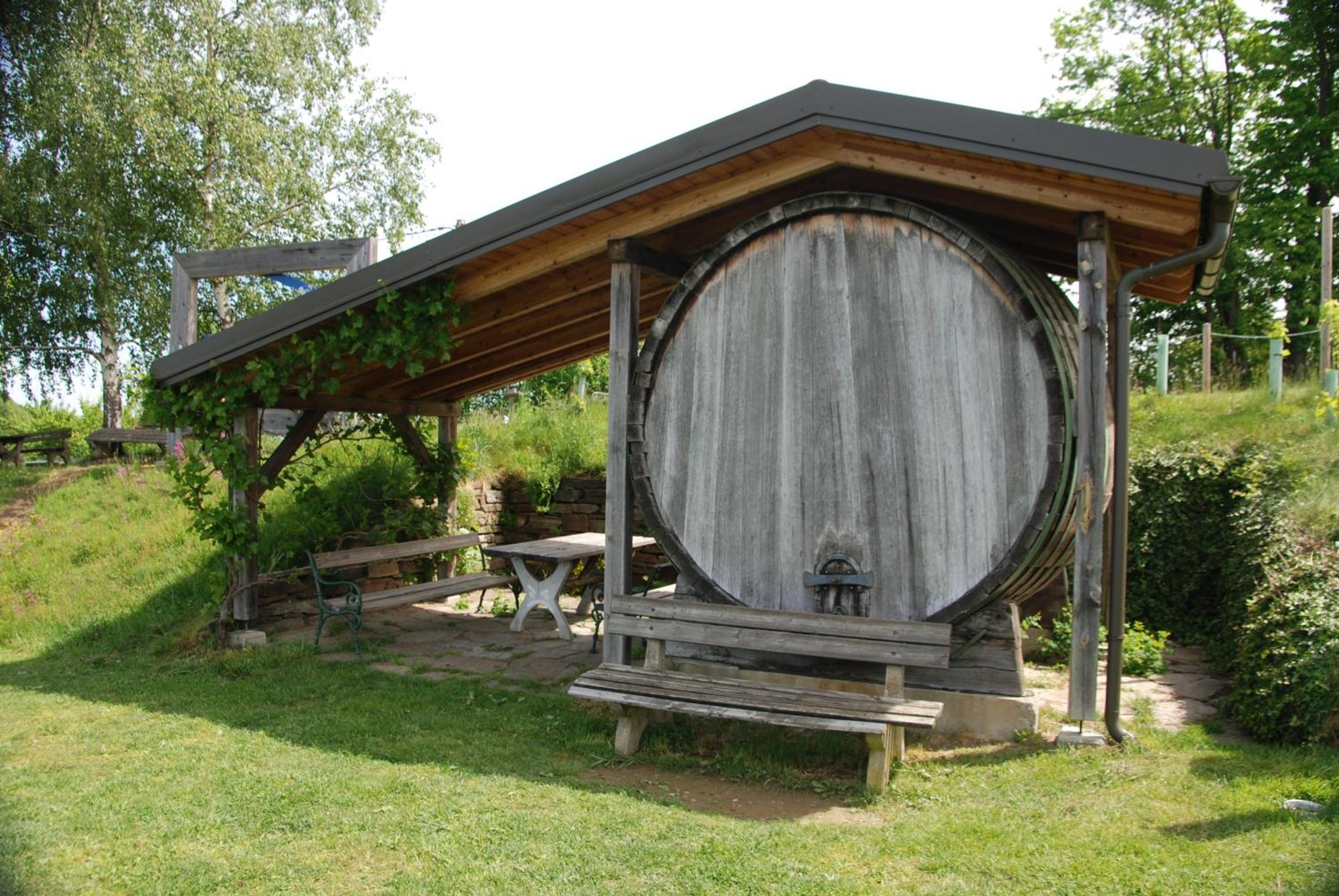 Naturpark-.Weinbergferienhaus Kitzeck im Sausal Eksteriør billede