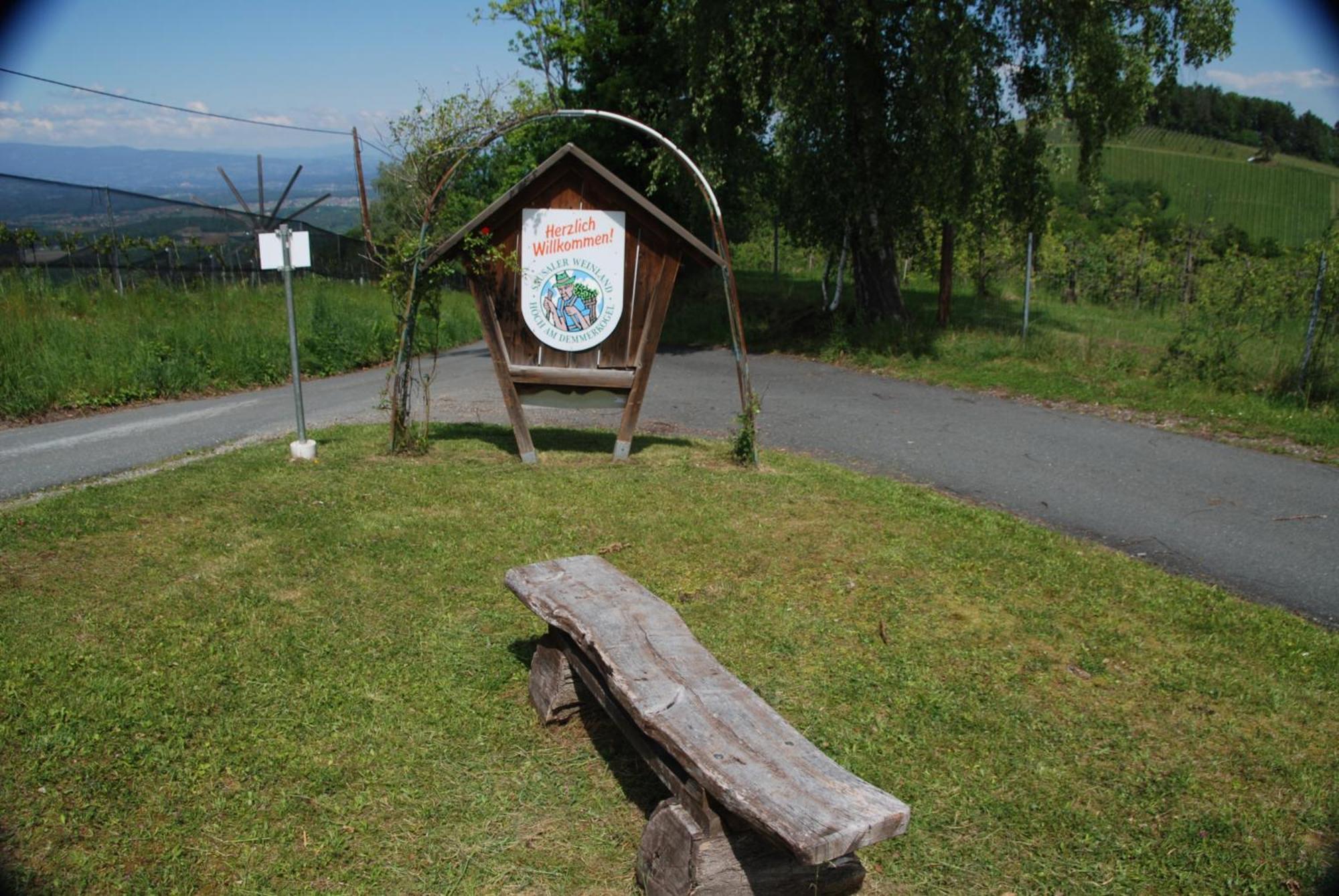 Naturpark-.Weinbergferienhaus Kitzeck im Sausal Eksteriør billede